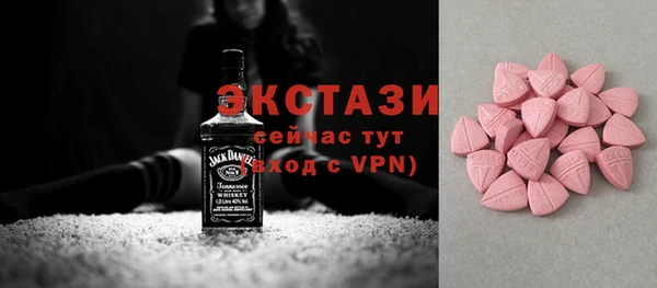 индика Бугульма