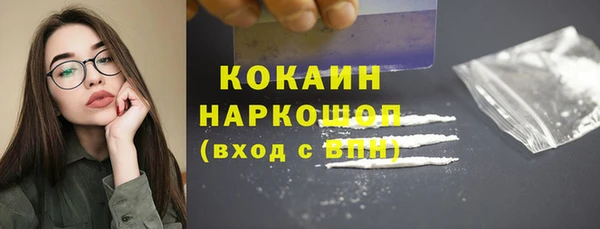 индика Бугульма