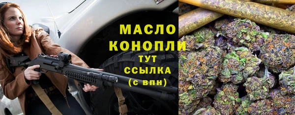 индика Бугульма