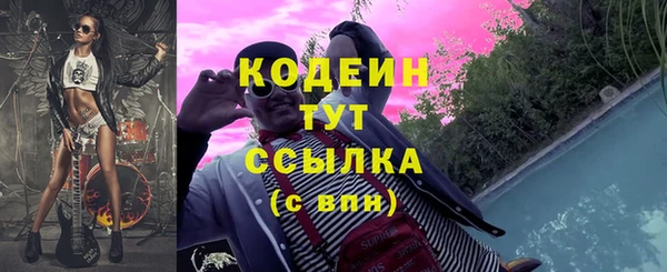 индика Бугульма