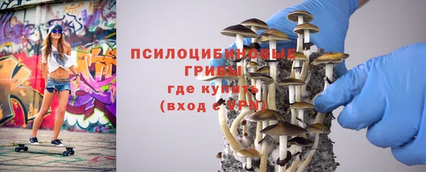 индика Бугульма