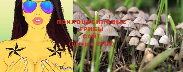 индика Бугульма