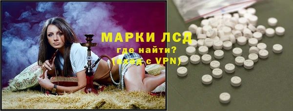 индика Бугульма
